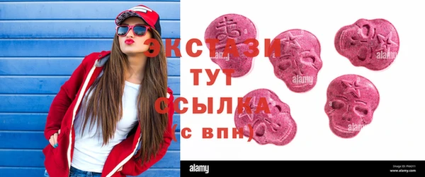 скорость Каменка