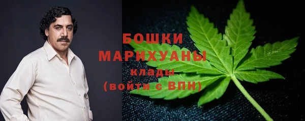 скорость Каменка
