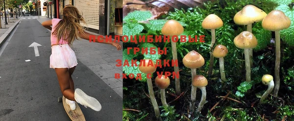 прущий лед Каменногорск