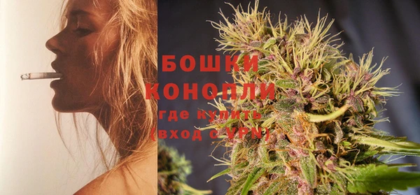 скорость Каменка